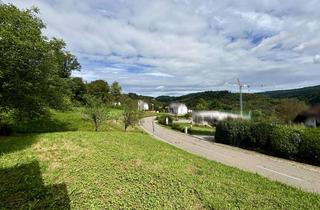 Grundstück zu kaufen in 69253 Heiligkreuzsteinach, Baugrundstück mit Panoramablick im Odenwald – Ruhige Lage mit guter Anbindung
