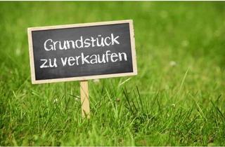 Grundstück zu kaufen in 15749 Mittenwalde, Großzügiges Grundstück in ruhiger Umgebung!