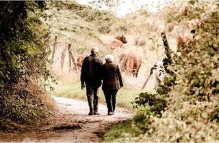 Immobilie kaufen in 13591 Spandau, Invest/ Senioren-Pflegeheim mit sichere Rendite