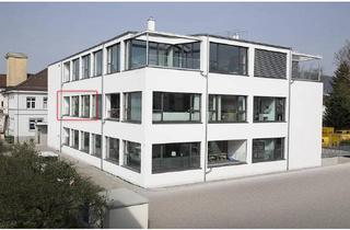 Loft kaufen in 77815 Bühl, Modernes Loft in direkter Innenstadtlage von Bühl