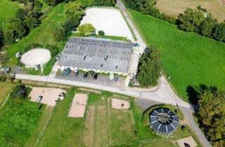 Haus kaufen in 36217 Ronshausen, Reitanlage mit 38 Boxen und idealen Trainingsbedingungen in Hessen!