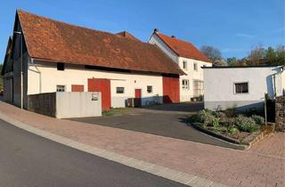 Haus kaufen in 63871 Heinrichsthal, Hier ist fast alles möglich ... 1-FH mit riesengroßer Scheune, Hof, Garten und Garage !!!