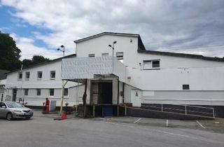 Büro zu mieten in 42109 Wuppertal, Vielseitig nutzbare Hallenfläche zu vermieten
