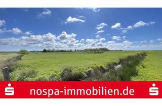 Gewerbeimmobilie kaufen in 25938 Midlum, Grünland in der Midlumer Marsch