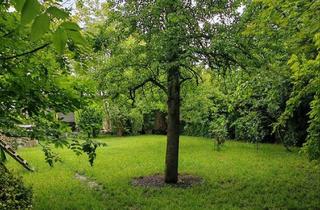 Haus kaufen in 87751 Heimertingen, Heimertingen - EFH in Heimertingen - in top Lage - mit herrlichem Garten