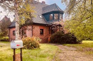 Bauernhaus kaufen in 38543 Hillerse, Hillerse - Charmantes ehemaliges Bauernhaus in Hillerse