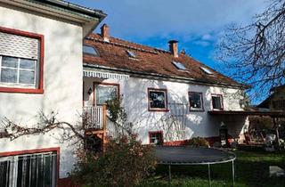 Mehrfamilienhaus kaufen in 64720 Michelstadt, Michelstadt - Mehrfamilienhaus MichelstadtSteinbach