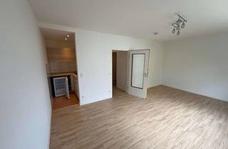 Wohnung mieten in 61250 Usingen, Frisch renovierte 1-Zimmer-Wohnung mit Einbauküche