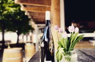 Gastronomiebetrieb mieten in Mühlstraße 15, 72622 Nürtingen, Attraktives Gastronomieobjekt in Toplage von Nürtingen – EnoVino sucht Nachfolger!