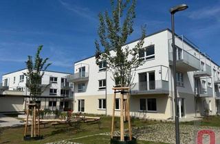 Sozialwohnungen mieten in 68542 Heddesheim, Einziehen & durchatmen – helle Neubauwohnungen bezugsfertig ab sofort zu vermieten, nur mit WBS