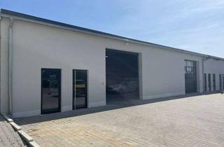 Gewerbeimmobilie mieten in Karl-Heinz-Kipp-Str. 28, 55232 Alzey, Gewerbehallen zu vermieten, 220- 440qm, Erstbezug!
