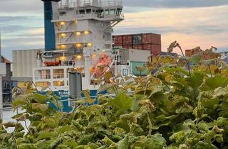 Grundstück zu kaufen in Am Sportpatz, 25557 Gokels, Klein Hamburg - Direkt vom Eigentümer 12.224 m² Grundstück in Süd-Westausrichtung. PROVISIONSFREI !