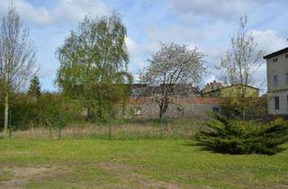 Grundstück zu kaufen in Dorfstraße, 06388 Maasdorf, Maasdorf Großes Grundstück mitten im Ort