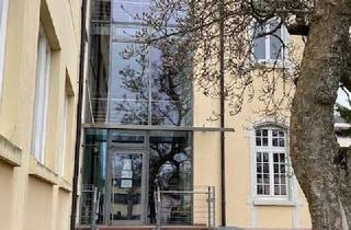 Büro zu mieten in Schöllbronner Straße 12, 76275 Ettlingen, Helle und geräumige Büroräume in zentraler Lage in Ettlingen