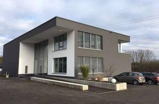 Büro zu mieten in 56428 Dernbach, Hochmodernes Büro mit flexibler Flächenaufteilung – lichtdurchflutet & sofort verfügbar