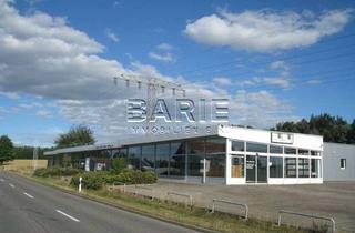 Gewerbeimmobilie mieten in Frankenberger Str. 29, 09661 Hainichen, Ehemaliges Autohaus mit großer Werkstatt, direkt an der Ausfallstraße, unweit der Autobahn A4