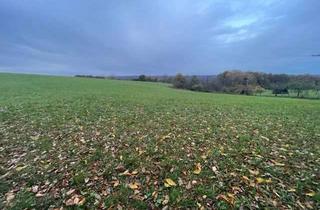 Gewerbeimmobilie kaufen in 53783 Eitorf, Eitorf Höhenlage - Landwirtschaftliche Fläche