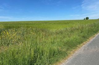 Gewerbeimmobilie kaufen in 92286 Rieden, Zum Verkauf stehen 5,88 ha landwirtschaftliche Nutzfläche