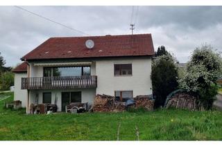 Haus kaufen in 89437 Haunsheim, Lichtdurchflutetes EFH mit ELW, Doppelgarage, unterkellert