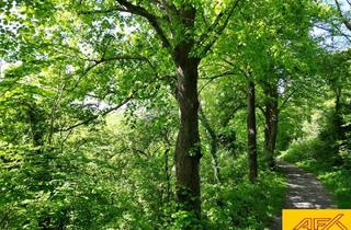 Grundstück zu kaufen in 59821 Arnsberg, Werden Sie Waldbesitzer!