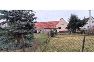 Einfamilienhaus kaufen in 04874 Belgern, Belgern-Schildau - Einfamilienhaus mit Stallgebäude und Garage bei Belgern