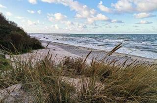 Gewerbeimmobilie kaufen in 18556 Putgarten, Hofgut – Anwesen mit Weitblick