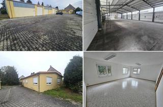 Geschäftslokal mieten in 04683 Belgershain, Pfeilerfreie Lagerhalle für 4,85 €/m² mit 2 Rolltoren & Freifläche + Wohn-/Bürogebäude mögl.