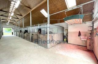 Haus kaufen in 54668 Niederweis, Exklusives Reiterparadies an der Luxemburger Grenze – Ihre private Reitanlage mit großem Wohnhaus