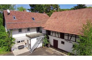 Bauernhaus kaufen in 97711 Maßbach, Ein Ort zum Ankommen – Bauernhaus mit zwei Wohneinheiten, idyllischem Hof und großem Naturgrundstück