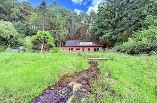 Einfamilienhaus kaufen in 29646 Bispingen, "Einziehen, abschalten, genießen – Leben wie im Urlaub" Einfamilienhaus auf Naturgrundstück in B