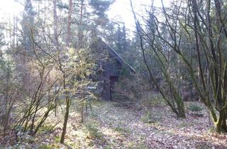Haus kaufen in 29308 Winsen, Winsen/Aller OT Thören im Wald-Feriengebiet