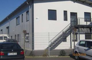 Büro zu mieten in 47665 Sonsbeck, Sonsbeck, Industriehalle 250 qm mit hochw. Industrieb. Büro 170 qm incl. Sozialr. ges.Nutzfl. 800qm