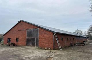Gewerbeimmobilie mieten in 27374 Visselhövede, Gewerbehalle, ca. 1.500 m² mit ca. 2.000 m² Freifläche in 27374 Visselhövede PROVISIONSFREI zu verm.