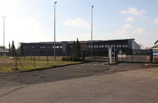 Gewerbeimmobilie mieten in Sachsenhausener Straße 31, 16515 Oranienburg, Logistik- und Lagerhalle mit 10 LKW-Rampen mit 3390 qm