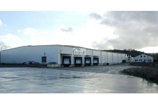Gewerbeimmobilie kaufen in 37139 Adelebsen, Reserviert! Interessante Lagerhalle aus 2011 mit Bürogebäude und großer Freifläche!