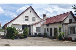 Gewerbeimmobilie kaufen in 04931 Mühlberg, Bieter-Verfahren!! - Einfamilienhaus mit Tischlerei, Lager und PV-Anlage
