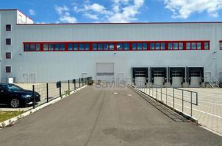 Gewerbeimmobilie mieten in Ben Cammarata Straße, 50126 Bergheim, *Exklusiv über Savills* | Neubauhalle | 4 Rampen + 3 Tore | 10 m (UKB) | Bezug ab sofort!