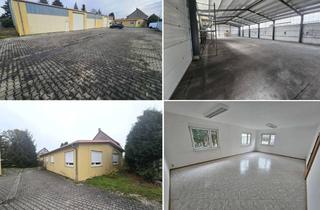 Büro zu mieten in 04683 Belgershain, Pfeilerfreie Lagerhalle für 4,85 €/m² mit 2 Rolltoren & Freifläche + Wohn-/Bürogebäude mögl.