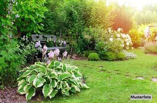 Grundstück zu kaufen in Nähe Elbufer, 01809 Heidenau, Freizeit- und Erholungsgarten mit Gartenlaube