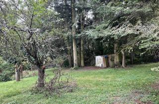 Grundstück zu kaufen in 65375 Oestrich-Winkel, Genießen Sie die Ruhe und die Natur - Tipp