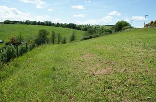 Grundstück zu kaufen in 54597 Neuendorf, **Baugrundstück in der Eifel mit beeindruckender Aussicht**
