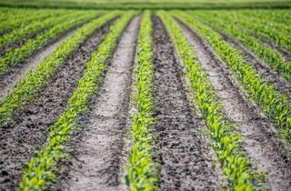 Grundstück zu kaufen in Westerbergen, 23769 Fehmarn, Investition in die Zukunft! Grundstücke unweit vom Meer direkt neben den Ferienhäusern Westerbergen