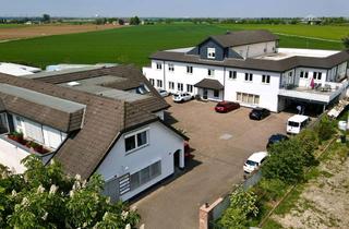 Gewerbeimmobilie kaufen in 69214 Eppelheim, Außergewöhnliches Gewerbeensemble in Eppelheim