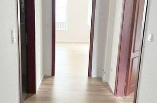 Wohnung mieten in Burgundenstr. 25, 38259 Bad, Renovierte 2-Zimmer-Erdgeschosswohnung mit Balkon zu vermieten!