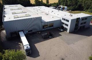 Gewerbeimmobilie kaufen in 32689 Kalletal, Produktions- und Lagerhallen mit Verwaltungsgebäude, Trafostation und Bauland!