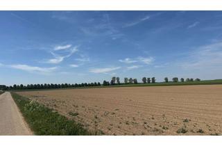 Grundstück zu kaufen in 89134 Blaustein, LANDWIRTSCHAFT - Ackerland in Wippingen