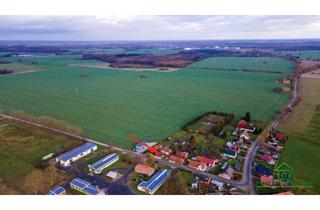 Doppelhaushälfte kaufen in 19230 Pätow-Steegen, Doppelhaushälfte mit großem Garten - für den Käufer provisionsfrei