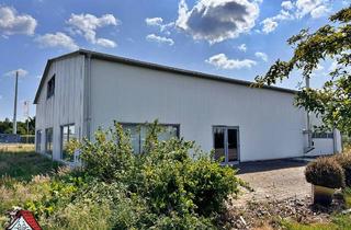 Büro zu mieten in 26897 Esterwegen, Esterwegen: Mehr als nur Gewerbe: Büro, Halle, Ausstellung – alles in einem Objekt!