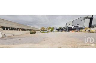 Gewerbeimmobilie mieten in 53340 Meckenheim, PKW-Händlerfläche in Meckenheim – Stellplatz-Areal mit Ausbaupotenzial