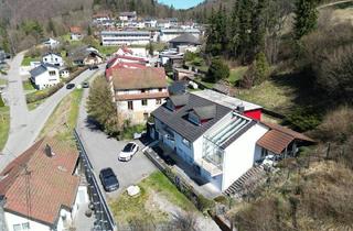 Haus kaufen in 72513 Hettingen, Hettingen - Ansprechende Alternative zum Neubau! Familieninsel für Generationen mit 1000 schönen Details in Hettingen.